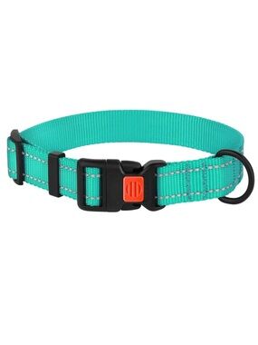 CollarDirect Adjustable Reflective Nylon Dog Collar, Mint Green, X-Small
